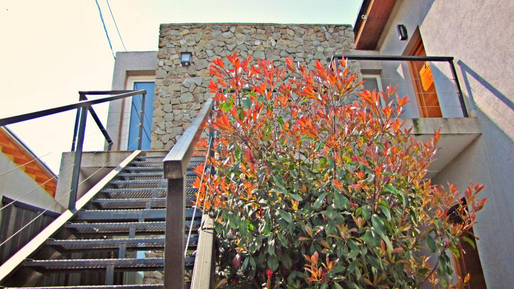 Villa Cabanas Bajo El Nogal à El Bolsón Extérieur photo